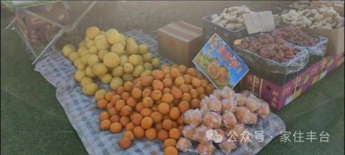 丰台新集开市，便民生活添新景，多路公交直达方便市民选购